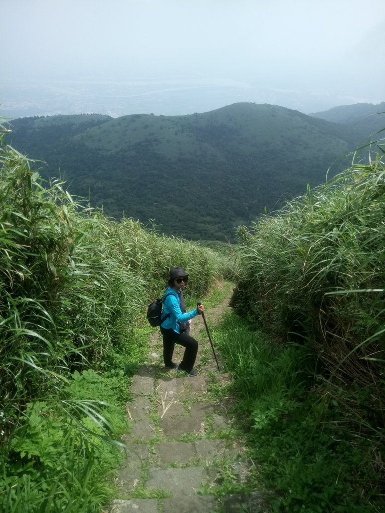 DSC_2163.JPG - 大屯山賞蝶季