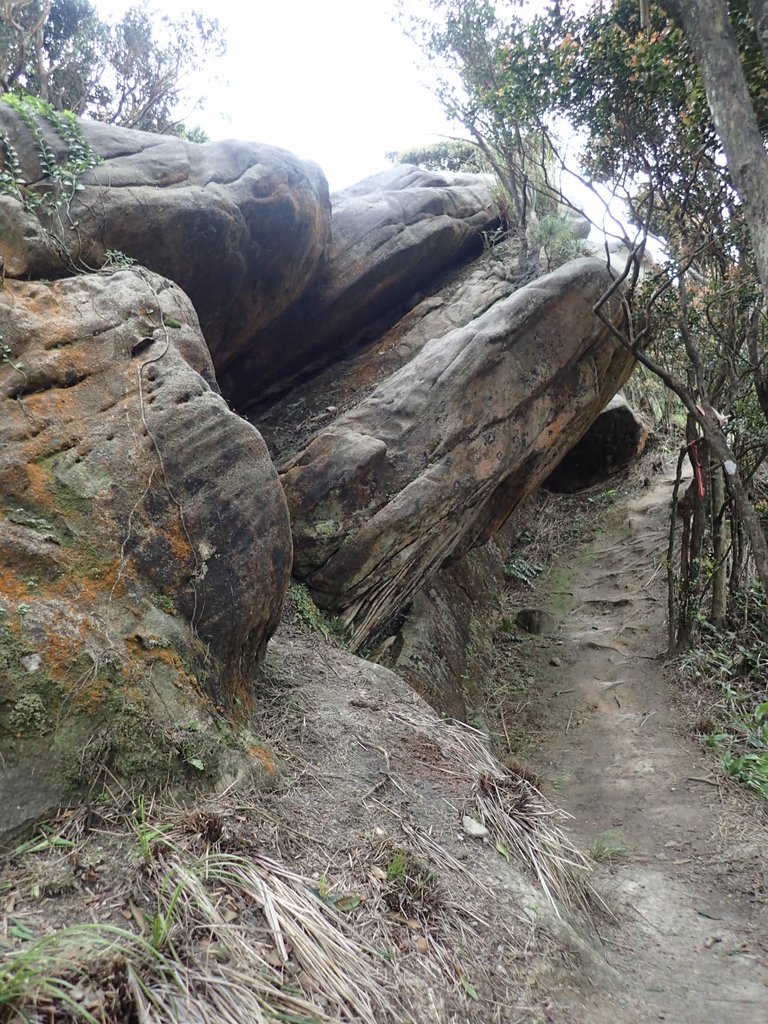 P3160075.JPG - 汐止  柯子林山  如意湖