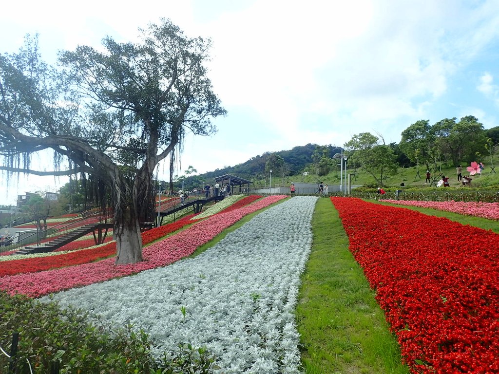 P2155442.JPG - 北投社  三層崎公園