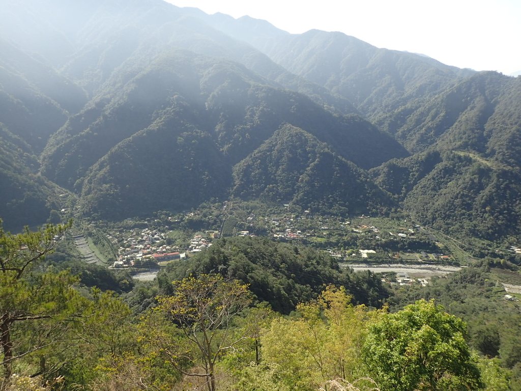 P3167167.JPG - 谷關  東卯山東南稜