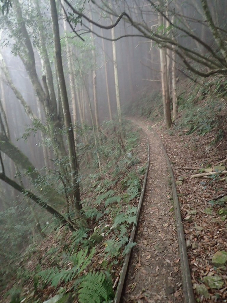 P2034974.JPG - 南庄  加里山  森林鐵道