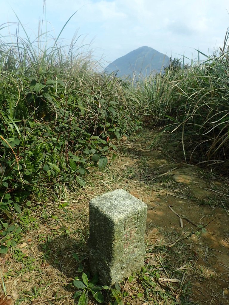 P2145405.JPG - 秀崎山  瑞芳山  龍潭山