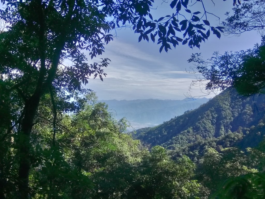 DSC_3772.JPG - 魚池  水社大山