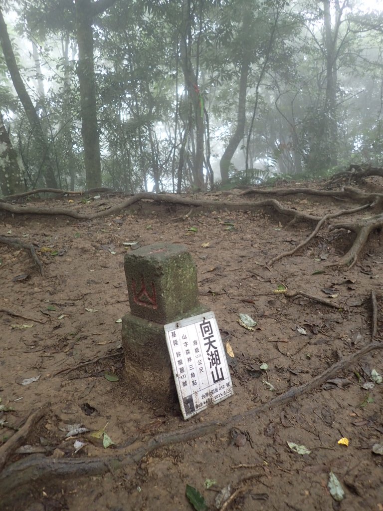 P9250206.JPG - 南庄  向天湖山  光天高山