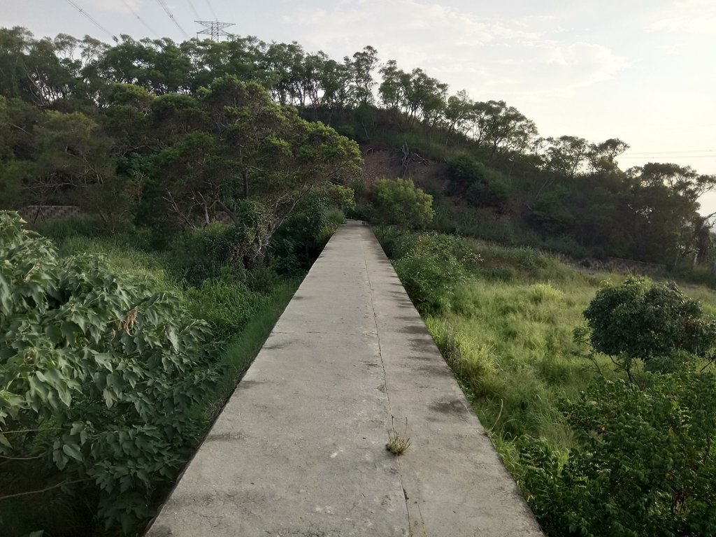 DSC_5835.JPG - 龍井  竹坑南寮登山步道