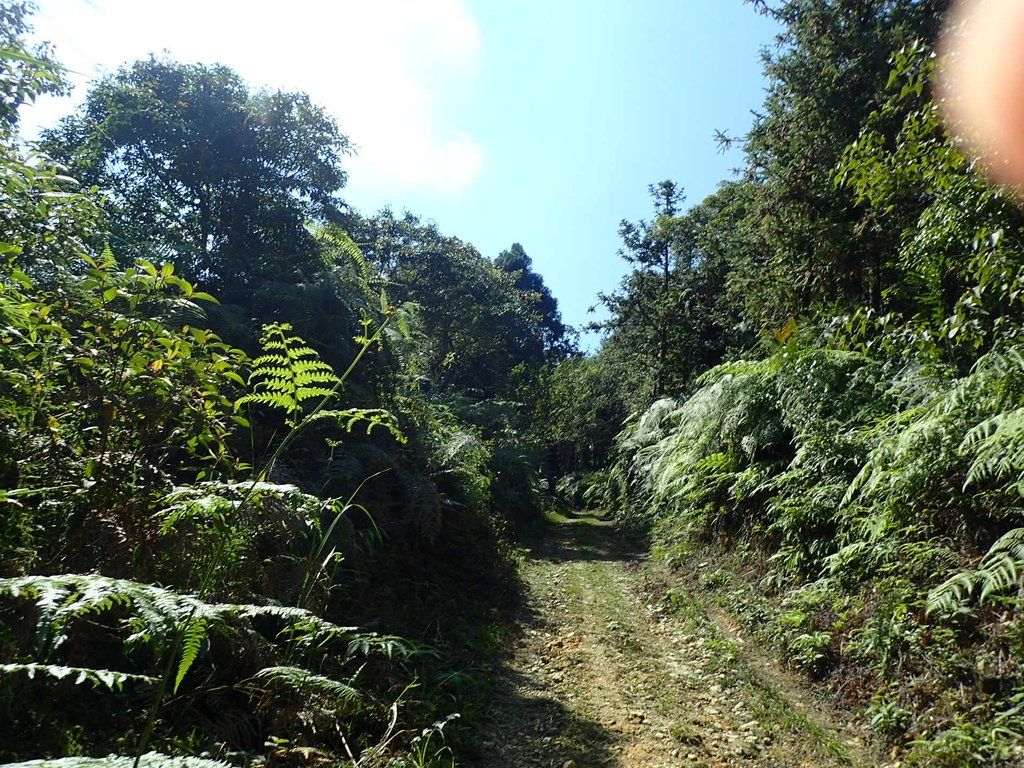 PA040380.JPG - 魚池  過坑山登山步道