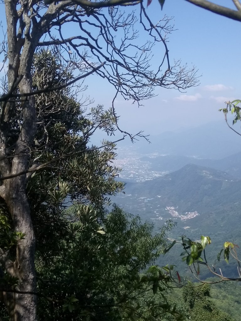 DSC_4084.JPG - 魚池  大尖山登山步道