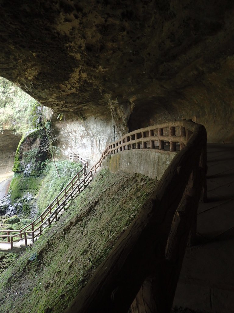 P2056661.JPG - 竹山  杉林溪森林遊樂園  路過