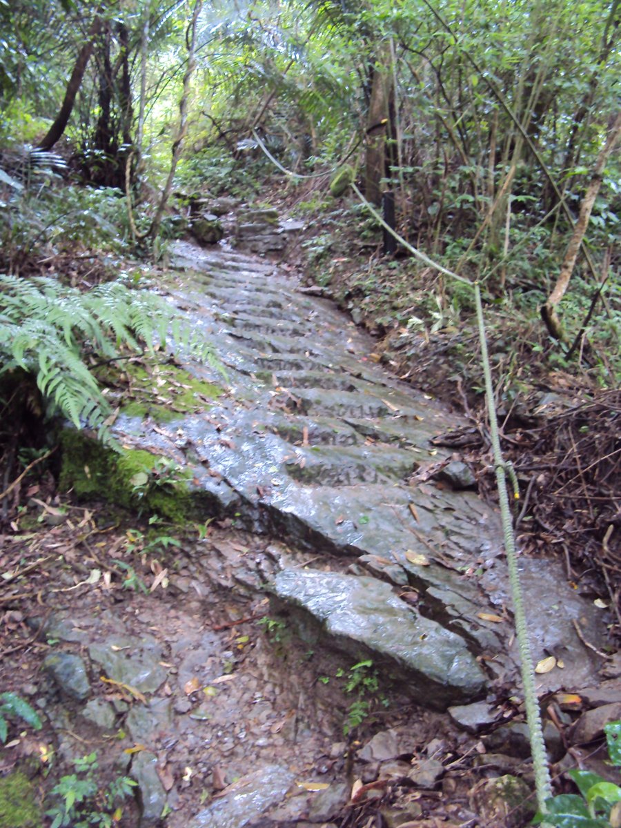 DSC07585.JPG - 基隆  暖東峽谷步道