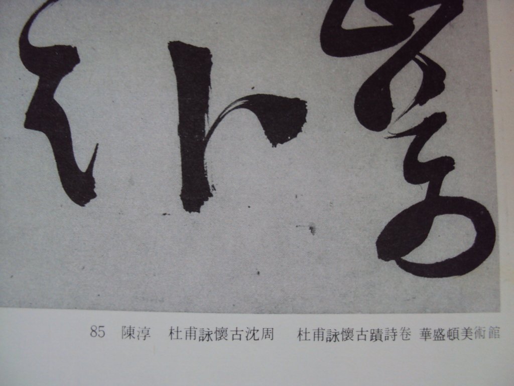 DSC09986.JPG - 陳淳的草書作品