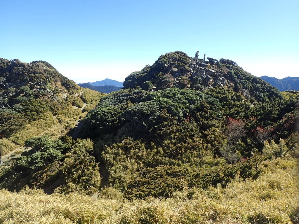 PC132157.JPG - 合歡山  東峰