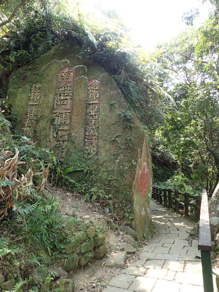 P3250823.JPG - 夏日  小登象山