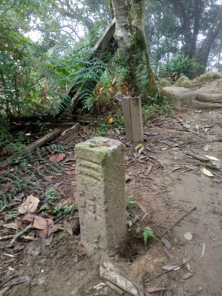 DSC_4881.JPG - 大溪  溪洲山登山步道