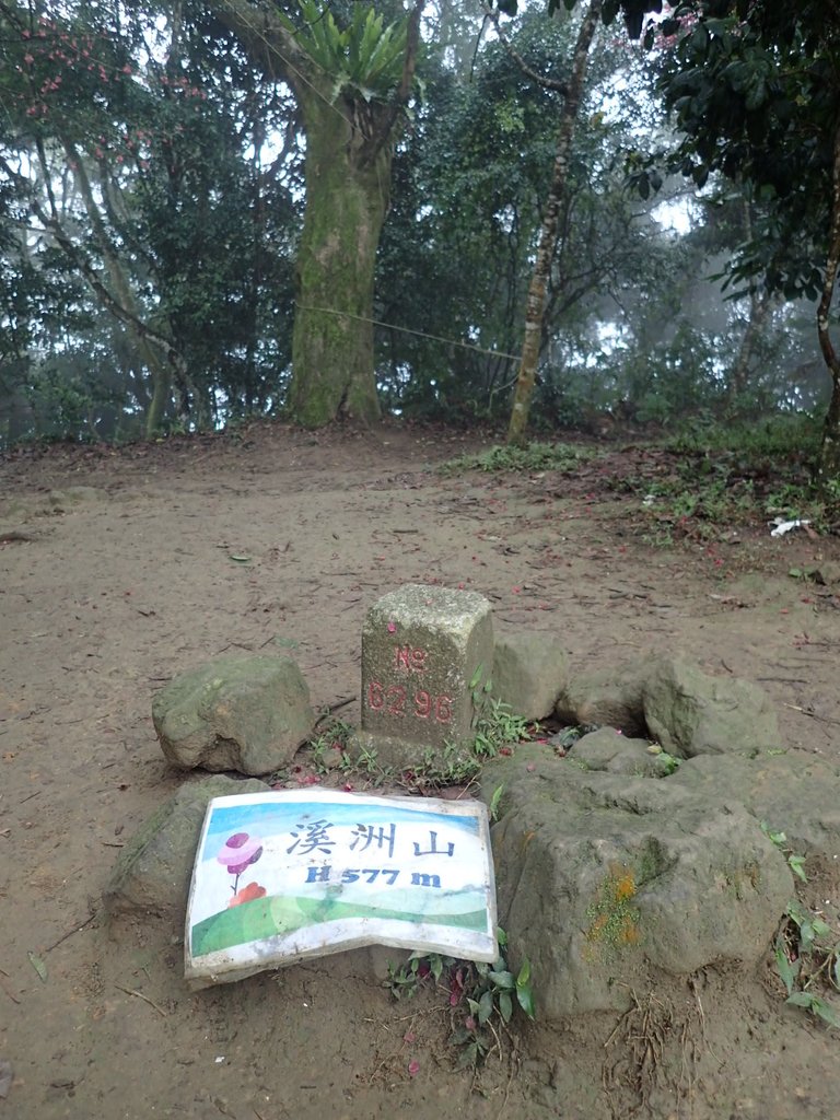 P2107537.JPG - 大溪  溪洲山登山步道