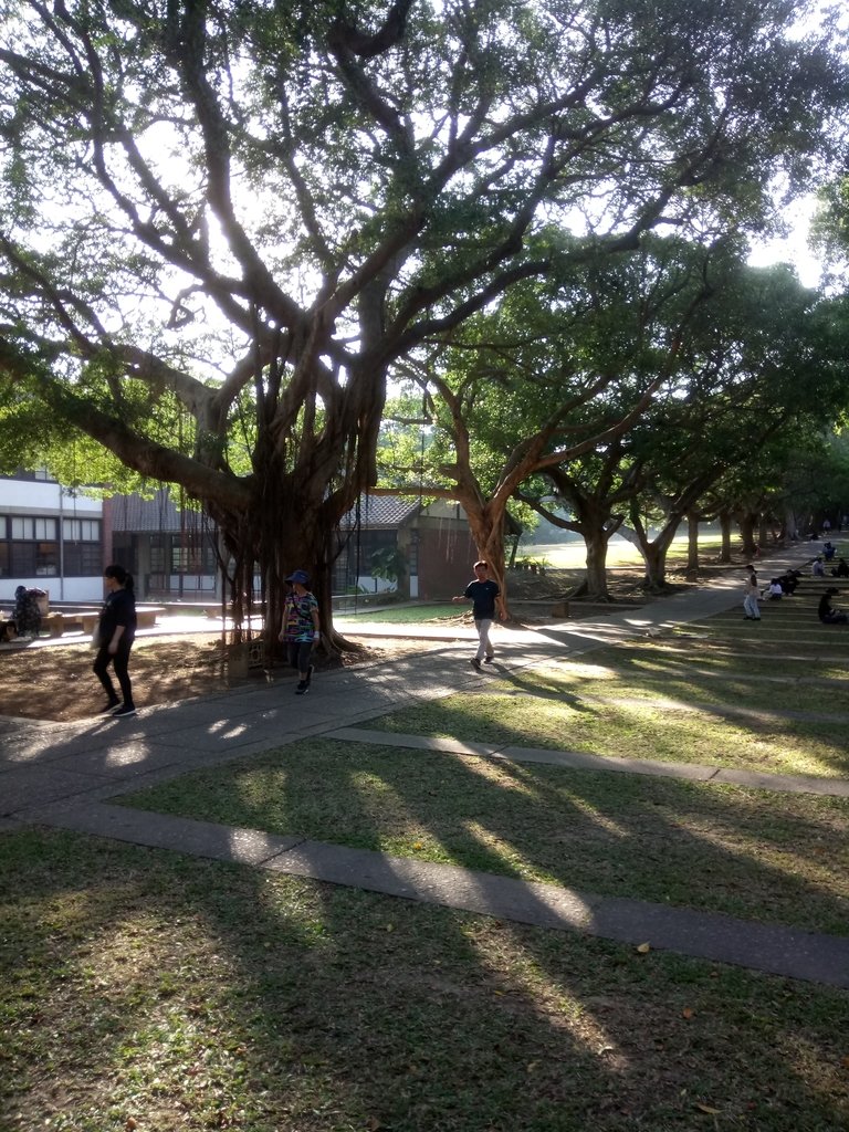 DSC_3283.JPG - 台中  東海大學校園巡禮