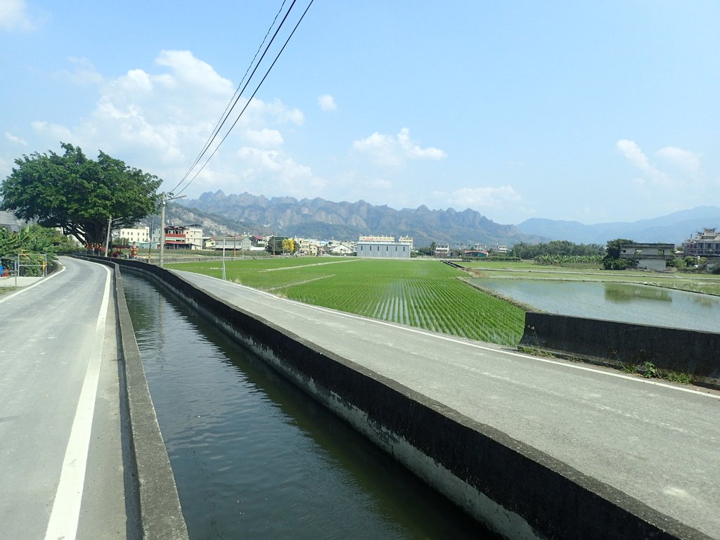 P3016030.JPG - 草屯平林  九九峰森林步道