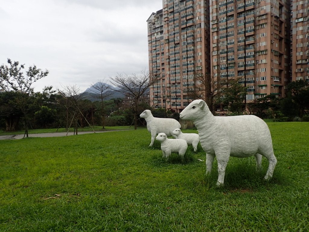 P3300965.JPG - 基隆  早安國揚社區公園