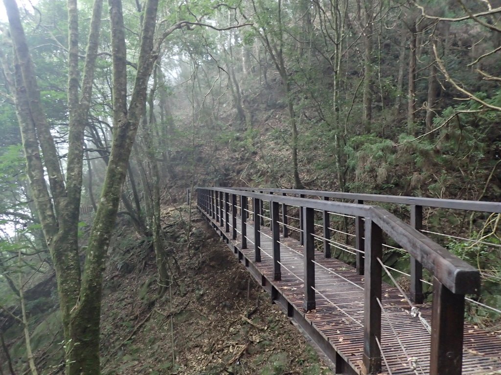 P2034975.JPG - 南庄  加里山  森林鐵道