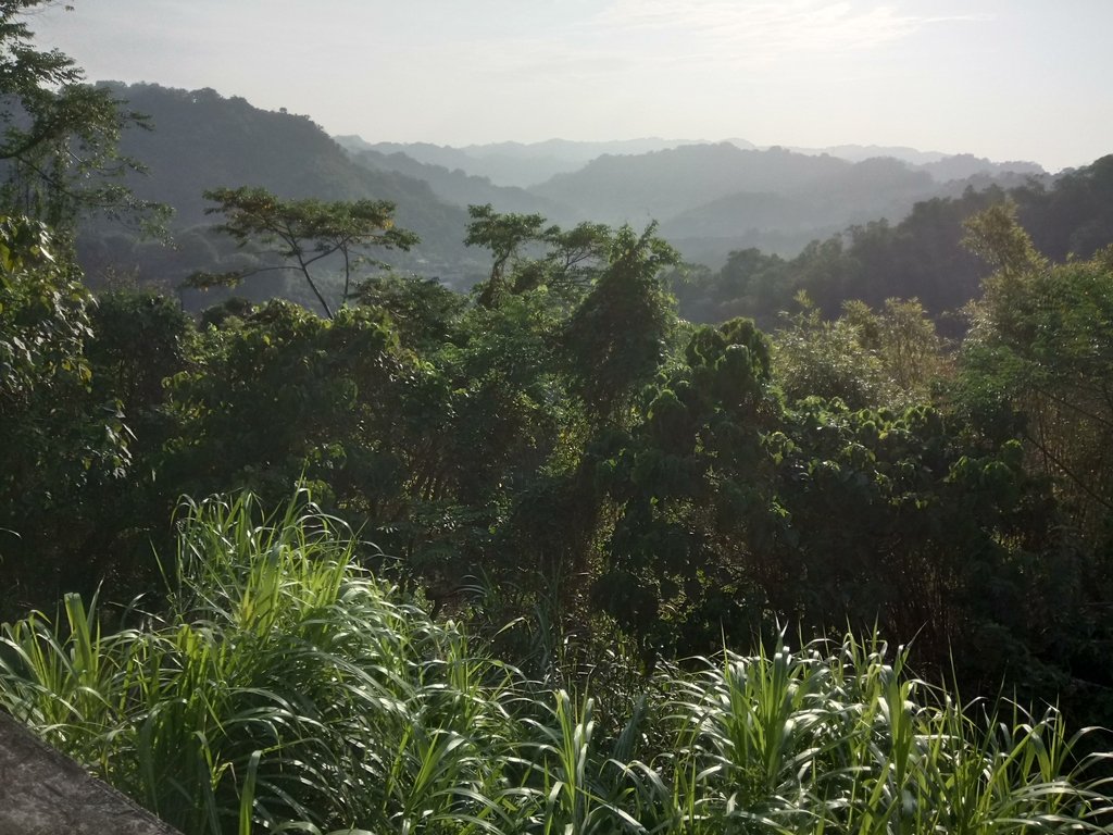 DSC_6888.JPG - 太平  酒桶山  暮色之美