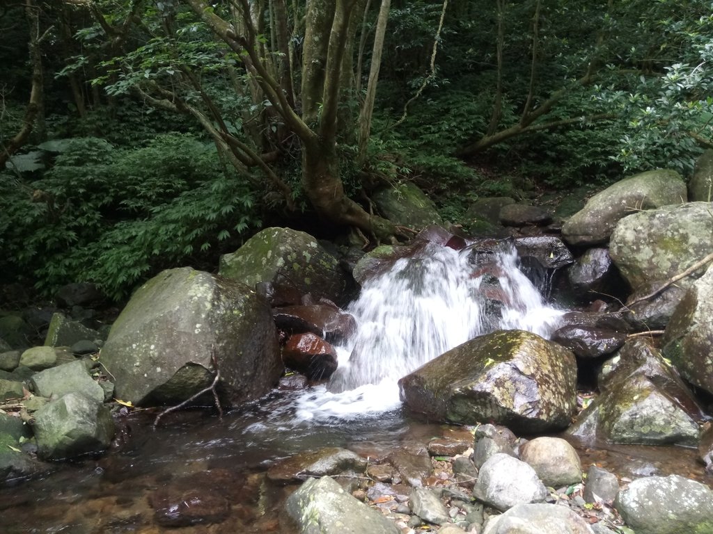 DSC_0701.JPG - 三芝  大屯溪古道