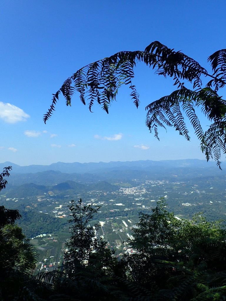 PA040392.JPG - 魚池  過坑山登山步道