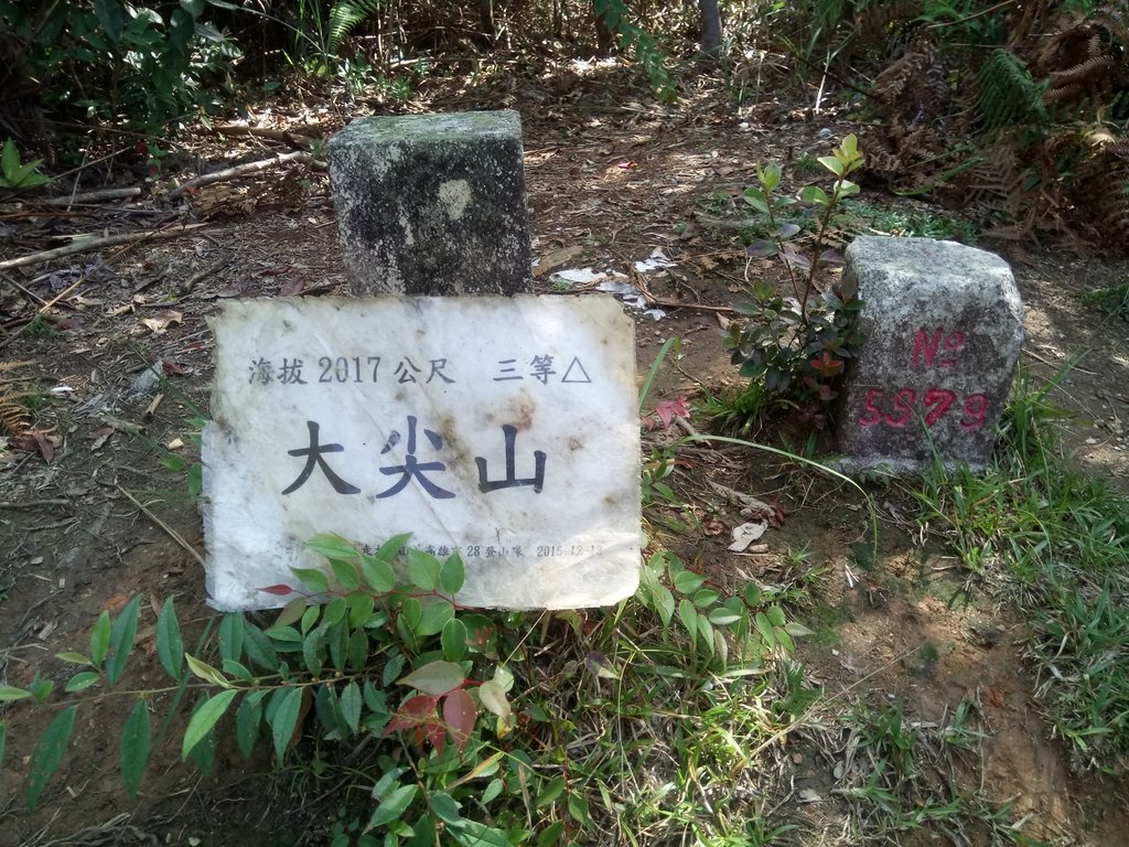 DSC_4090.JPG - 魚池  大尖山登山步道