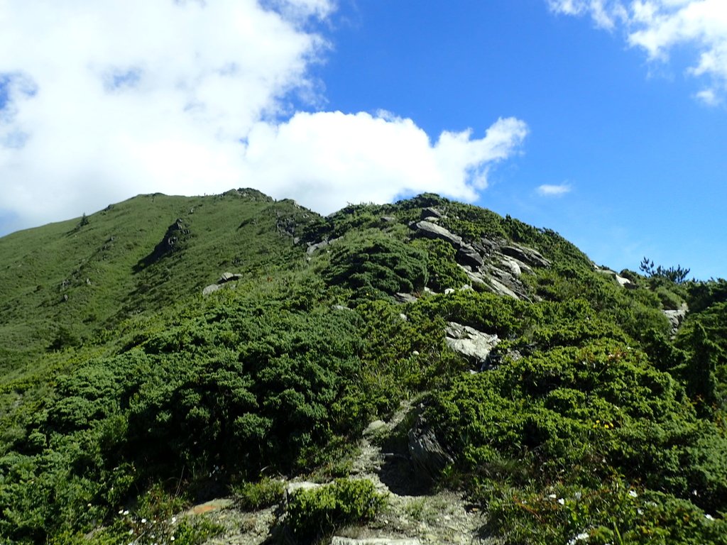 P7245956.JPG - 合歡山  北峰之美  (上)