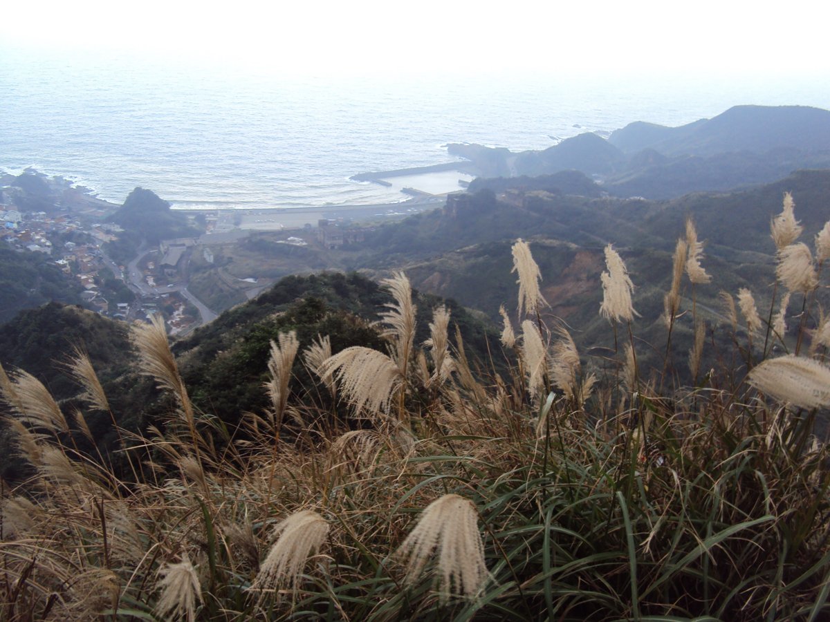 DSC03300.JPG - 報時山步道