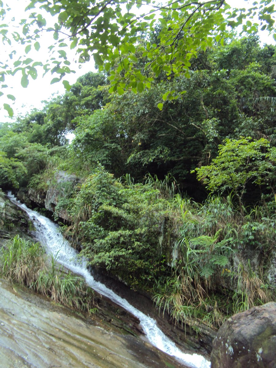 DSC07587.JPG - 基隆  暖東峽谷步道