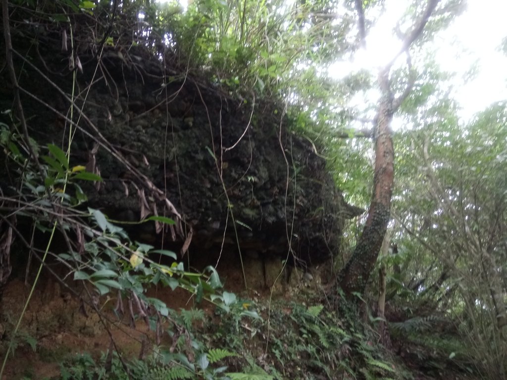 DSC_9307.JPG - 基隆  牛稠嶺砲台探勘