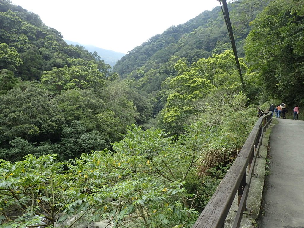 P3028979.JPG - 三峽  滿月圓森林遊樂區