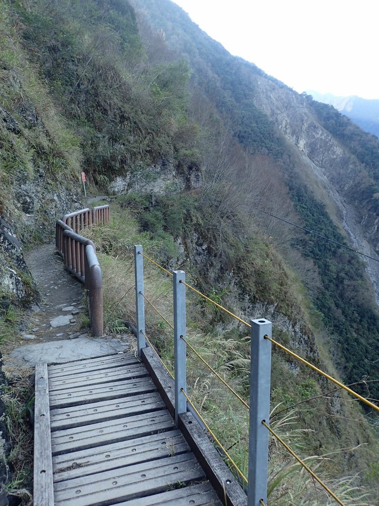 P1022693.JPG - 東埔  八通關古道