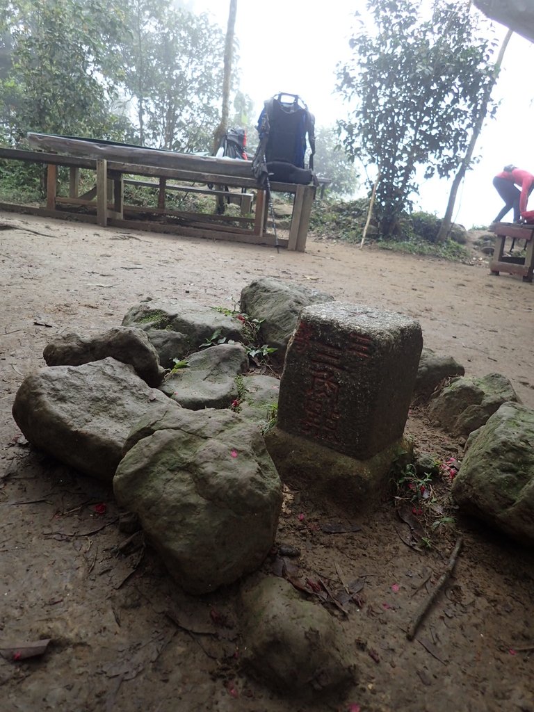 P2107541.JPG - 大溪  溪洲山登山步道