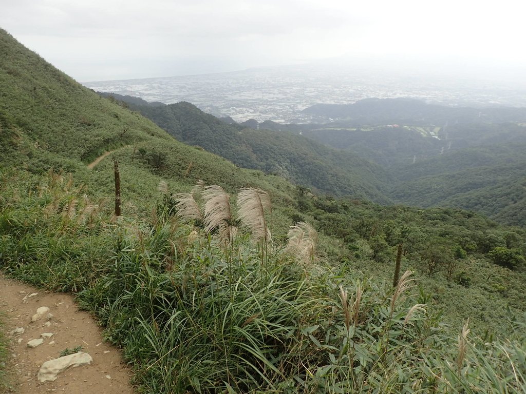 PB159020.JPG - 礁溪  聖母登山步道  (抹茶山)