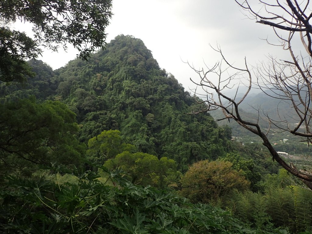 PA064684.JPG - 大湖  法雲禪寺  開拓紀念碑