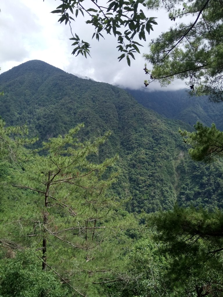 DSC_0007.JPG - 谷關七雄之  馬崙山  (下)