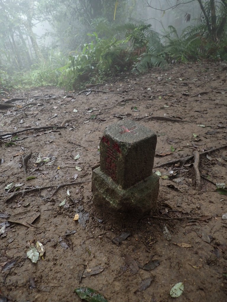 P9250209.JPG - 南庄  向天湖山  光天高山