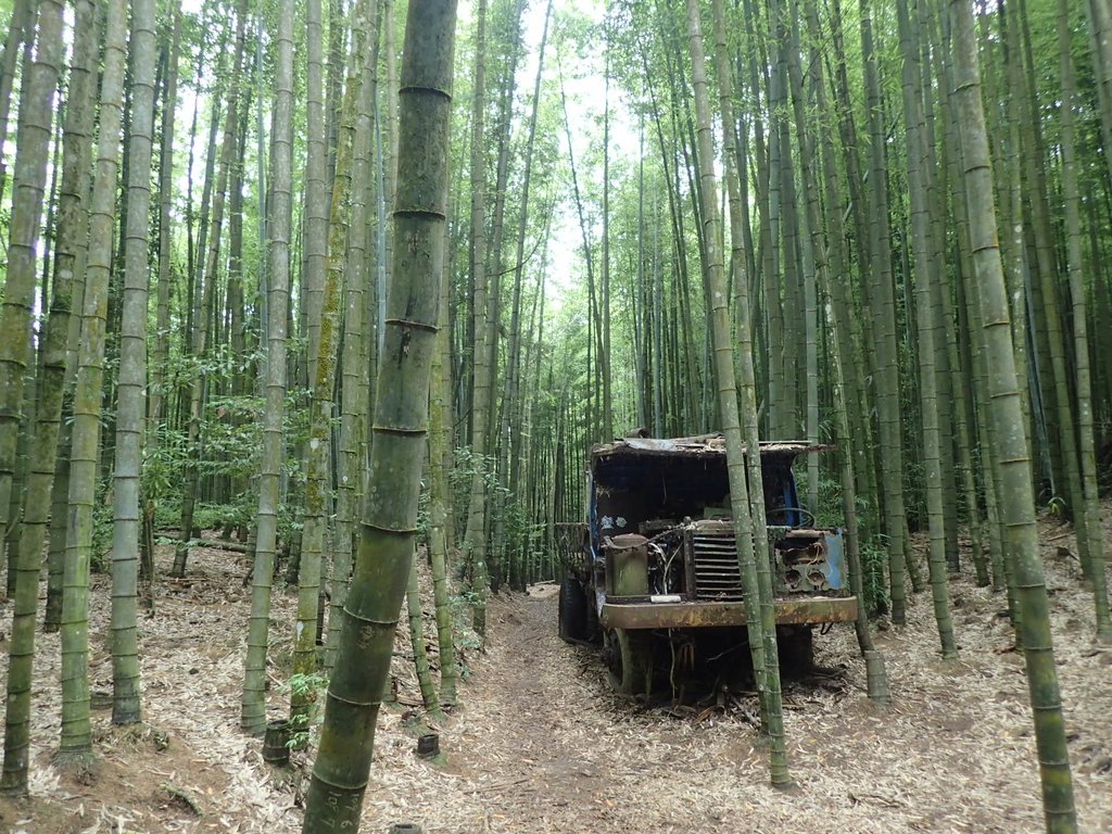 P7235893.JPG - 台中和平  長壽山登山步道  (中)