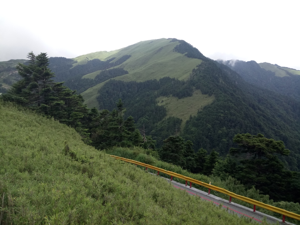 DSC_5483.JPG - 石門山步道