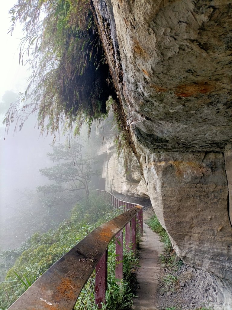 IMG20210108120718.jpg - 梅山  瑞峰村  竹坑溪步道