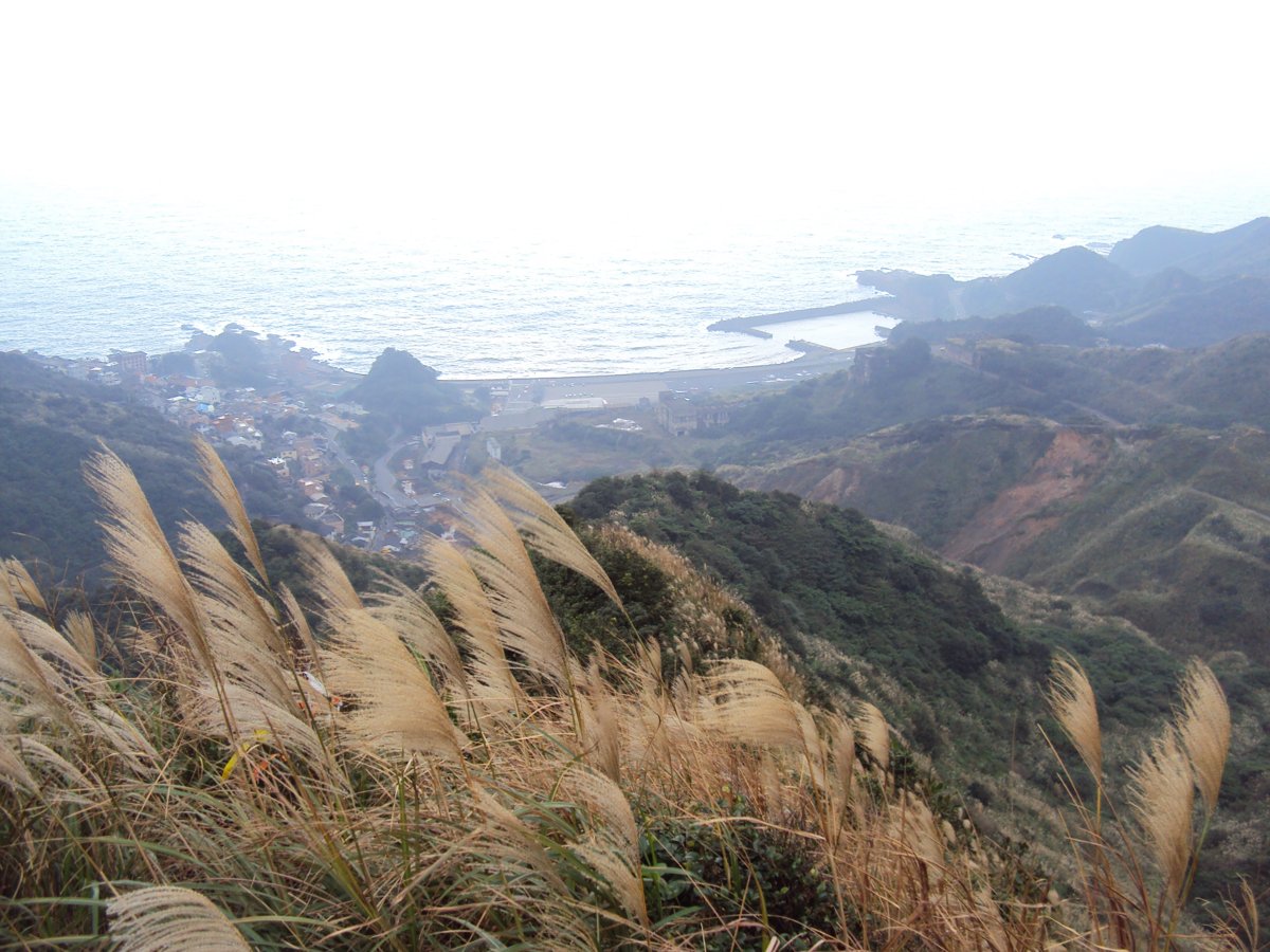 DSC03304.JPG - 報時山步道