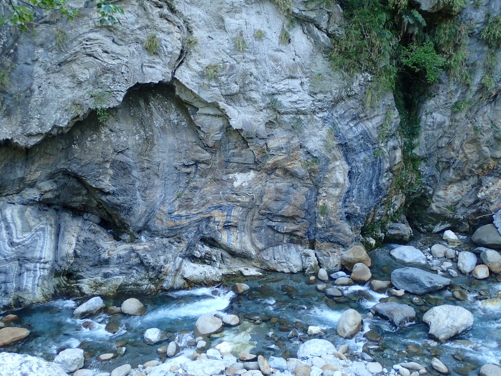 P8120281.JPG - 花蓮  秀林  砂卡噹步道