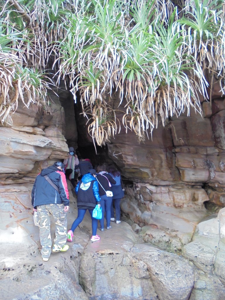 DSC01680.JPG - 金山  獅頭山  神秘海岸