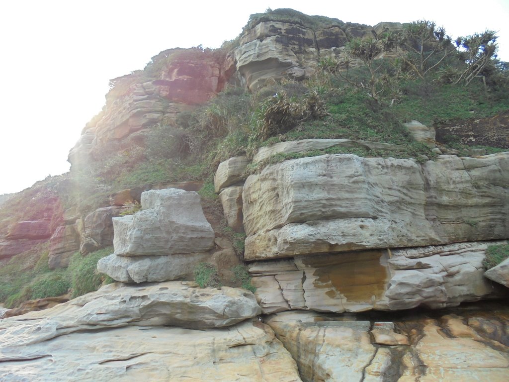 DSC01697.JPG - 金山  獅頭山  神秘海岸