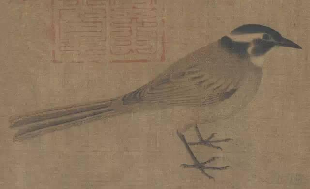 3122000op4p5q7q66rnn.jpg - 黃筌  寫生禽鳥圖