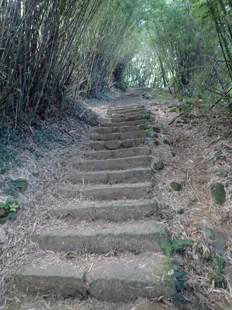 P9238163.JPG - 北投  面天山  向天湖步道