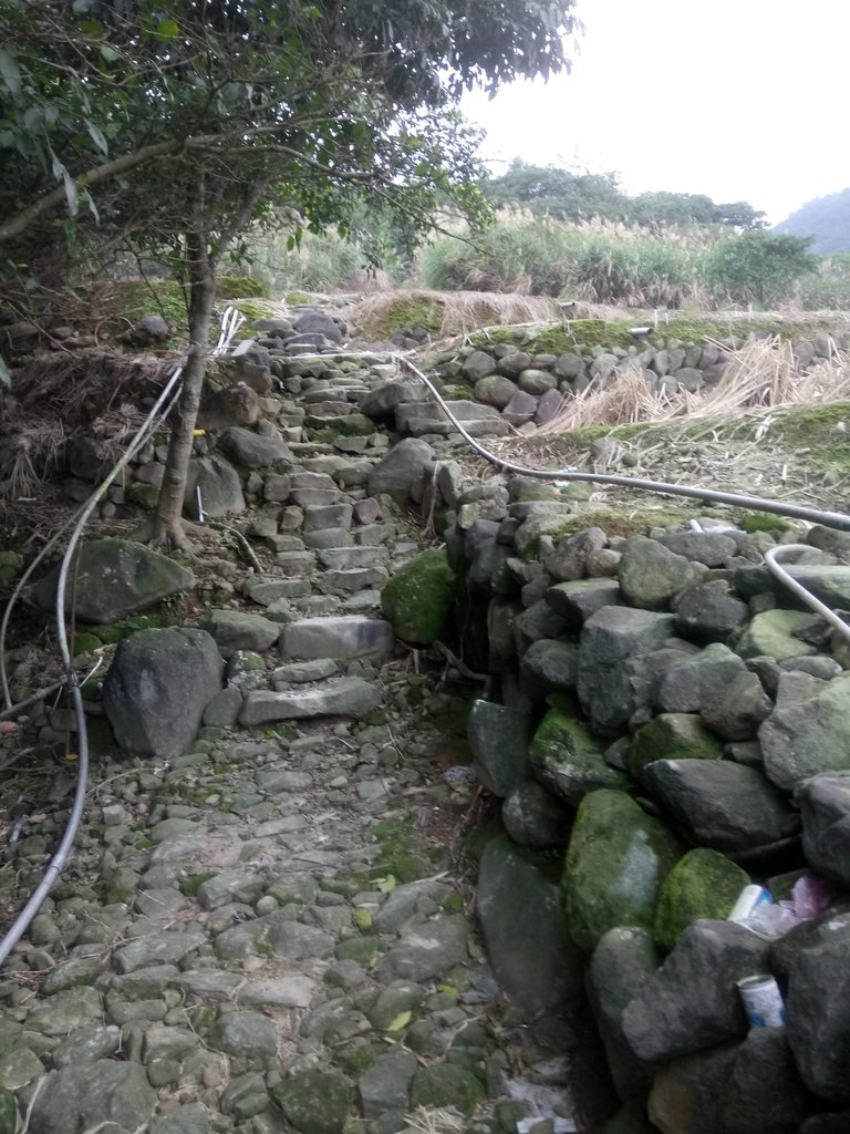 DSC_3329.JPG - 金山  大路崁古道