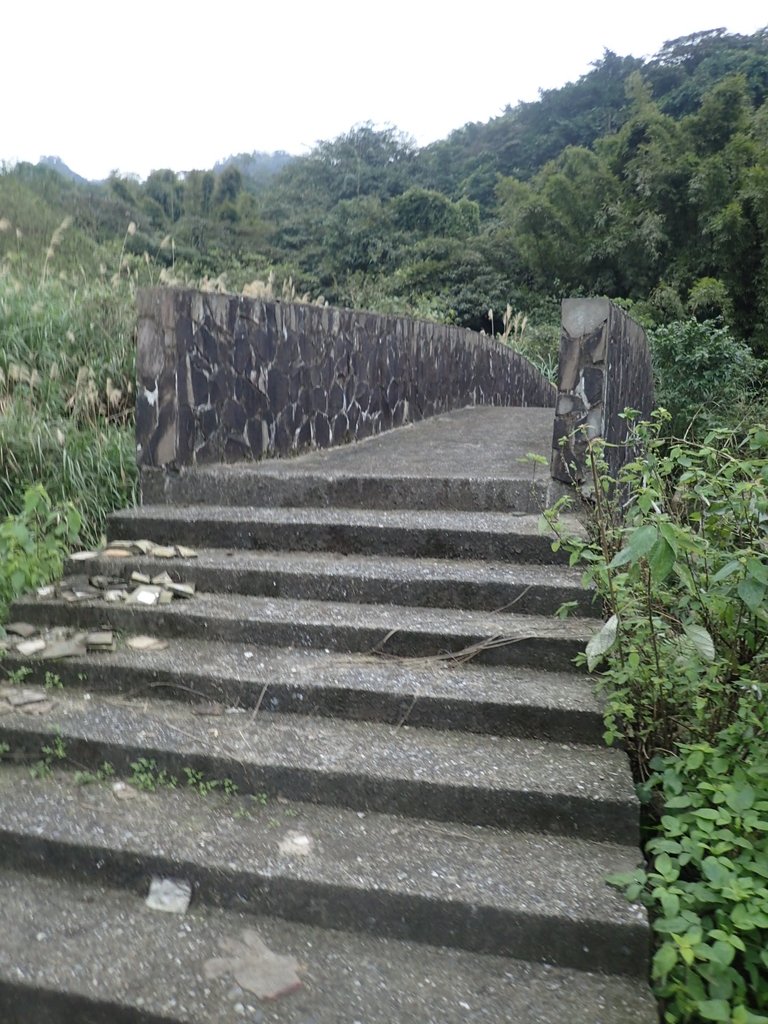 P1263980.JPG - 金山  大路崁古道