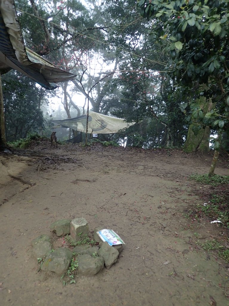 P2107543.JPG - 大溪  溪洲山登山步道