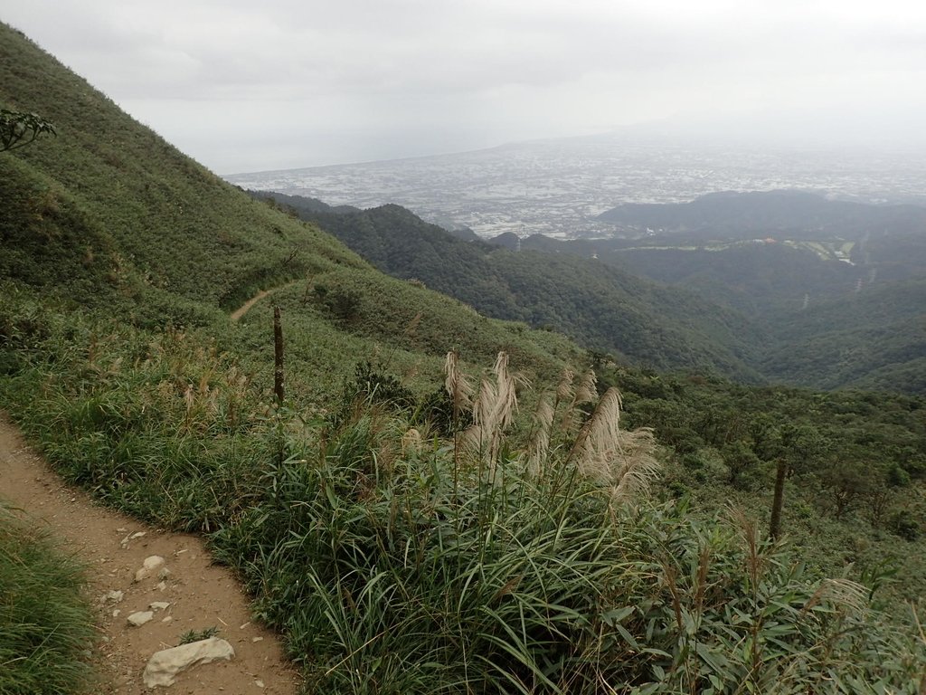 PB159021.JPG - 礁溪  聖母登山步道  (抹茶山)